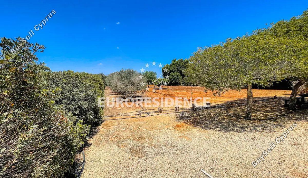5 bedroom detached house for sale protaras famagusta 1416876 image 2711677
