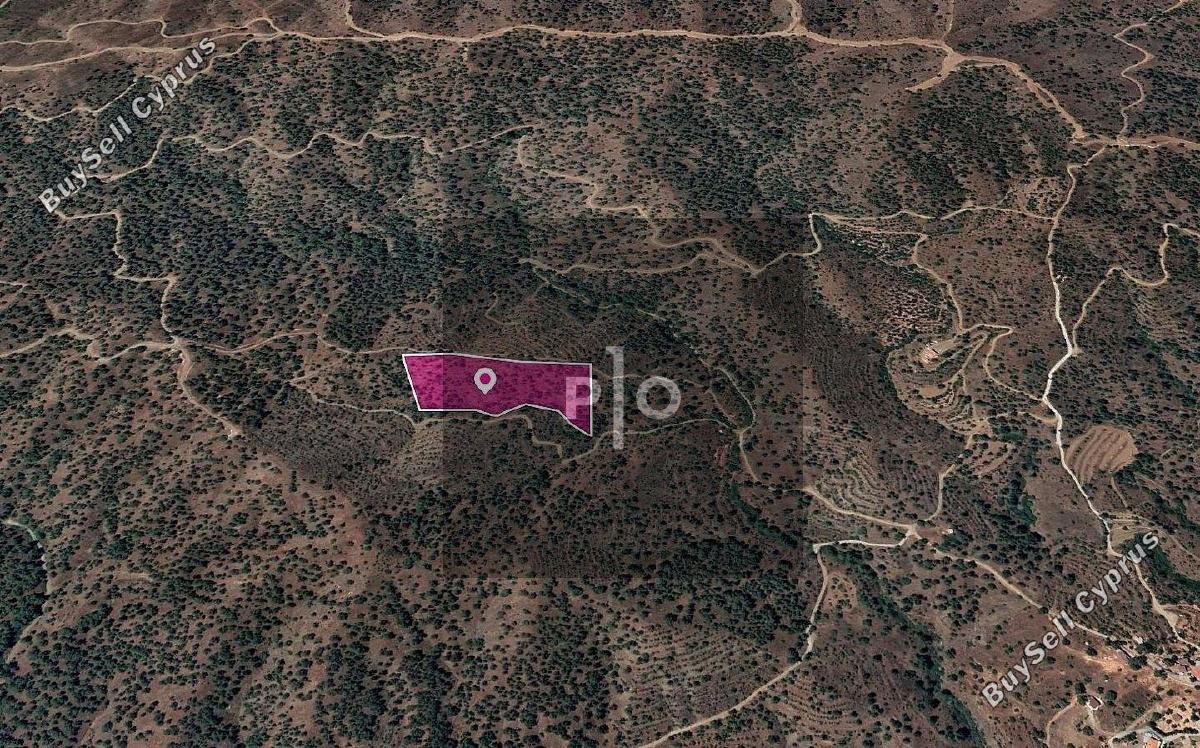 land for sale agios theodoros soleas nicosia 8274876 image 15155966
