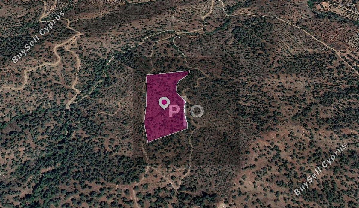 land for sale agios theodoros soleas nicosia 8274876 image 15155968
