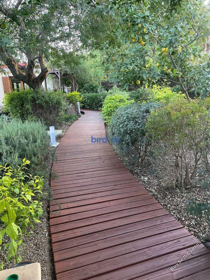5 bedroom detached house for sale strovolos nicosia 8830976 image 16993490