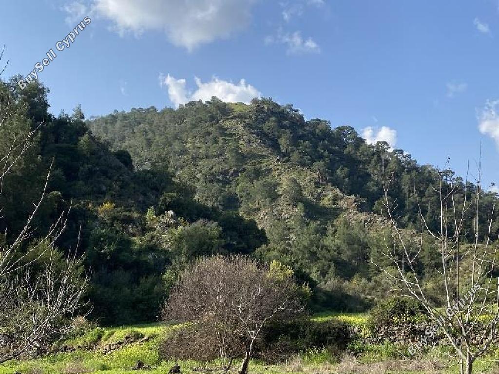 land for sale pano pyrgos nicosia 945976 image 3344676