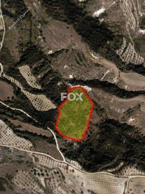 land for sale simou paphos 1459976 image 10036532
