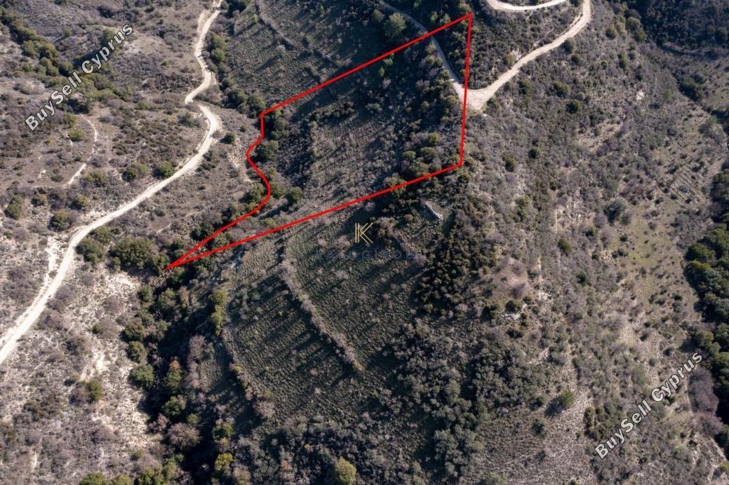plot for sale dora limassol 1650976 image 5680504