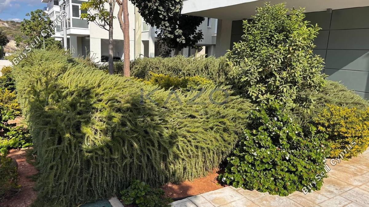 3 bedroom apartment for sale parekklisia limassol 7784086 image 11362700
