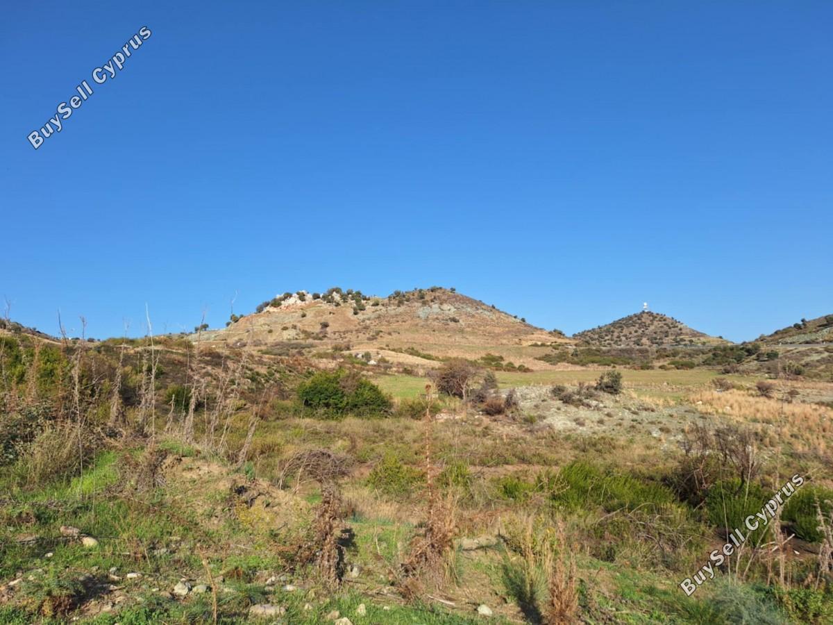 land for sale anarita paphos 8395086 image 14816067