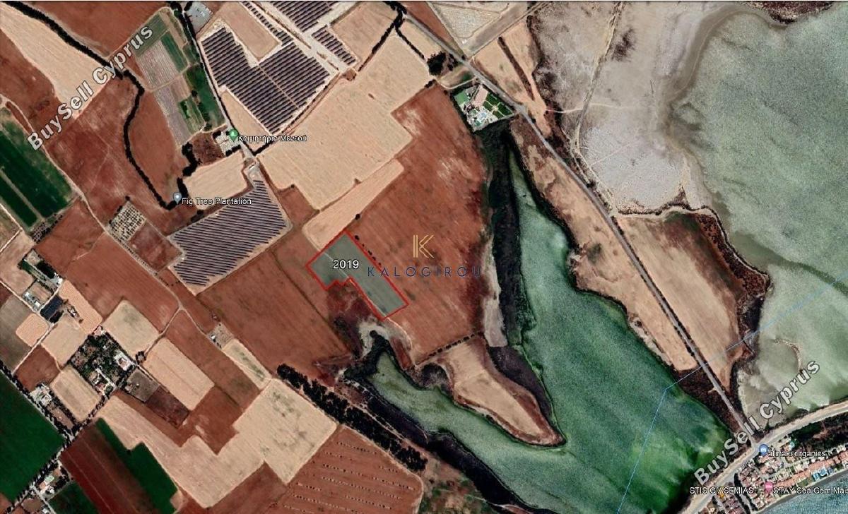 land for sale meneou larnaca 1196086 image 5589207