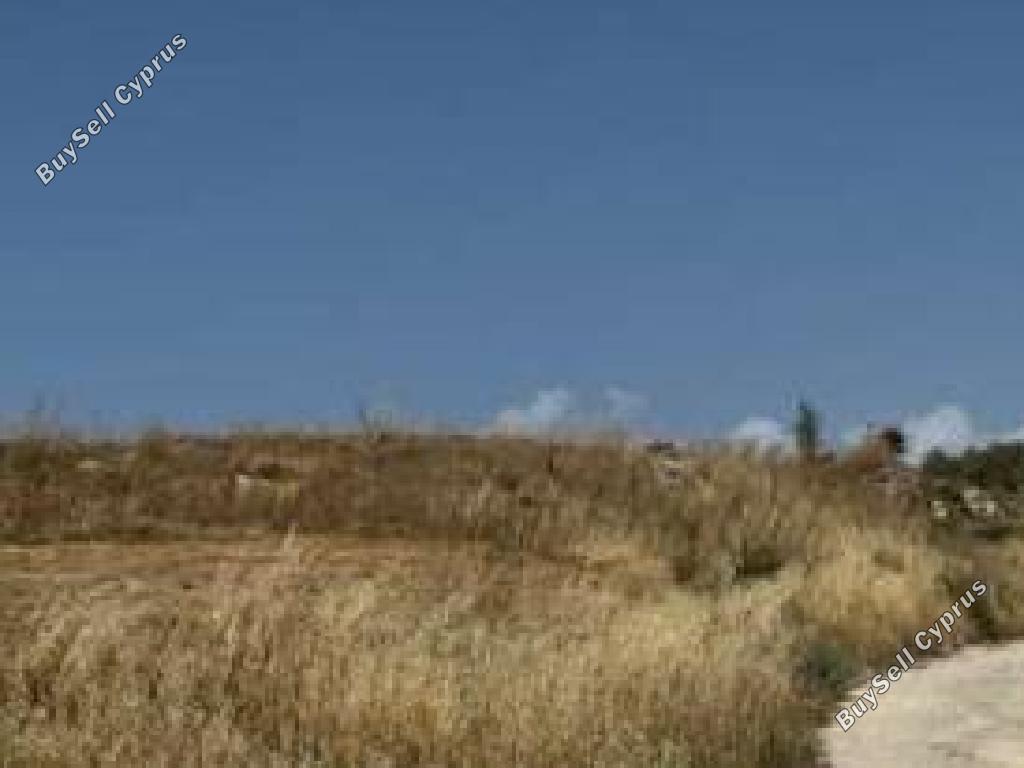 4683 SQM Land for sale in Drimou, Paphos 16512457