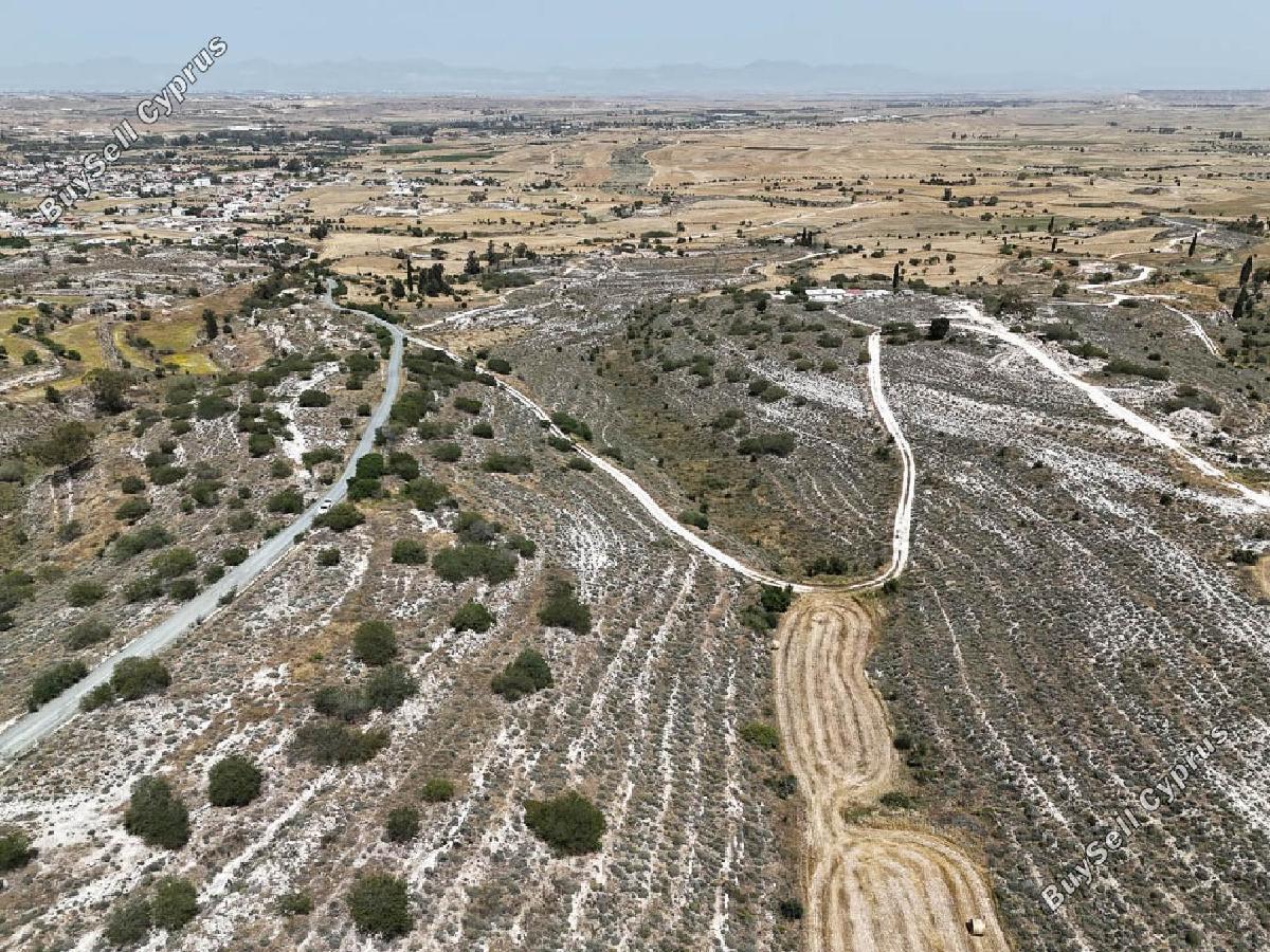 land for sale dali nicosia 8716186 image 16294876