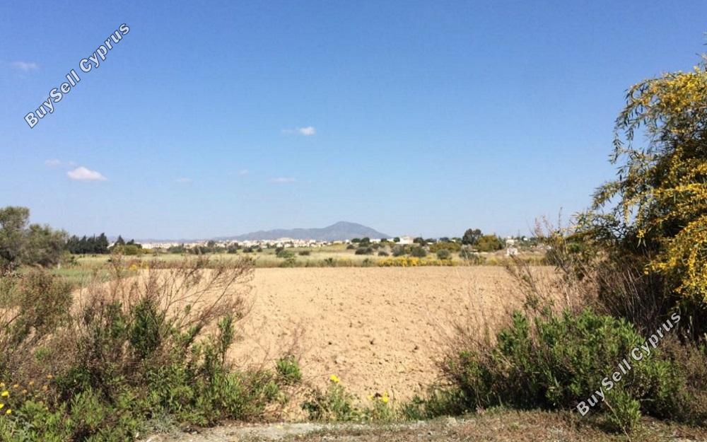 land for sale mazotos larnaca 831186 image 1056738