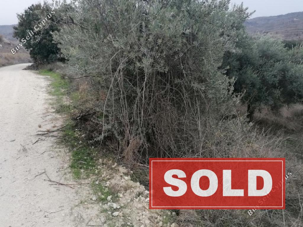 land sold sarama paphos 974186 image 889274