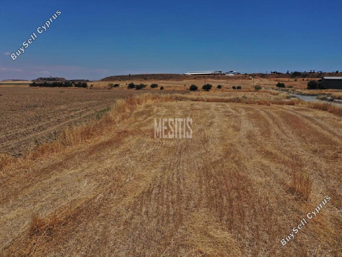 plot for sale potamia nicosia 8792186 image 16694313