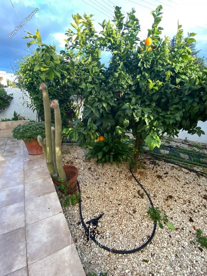 5 bedroom detached house for sale emba paphos 8959286 image 17780078