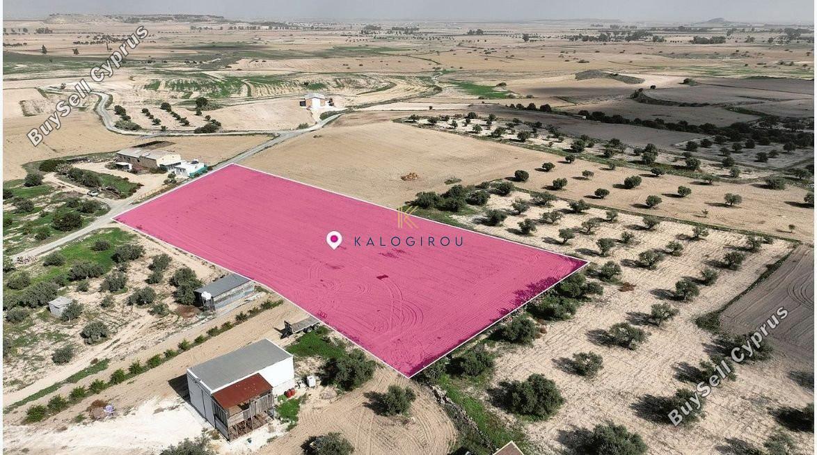 land for sale athienou larnaca 1305286 image 7235404