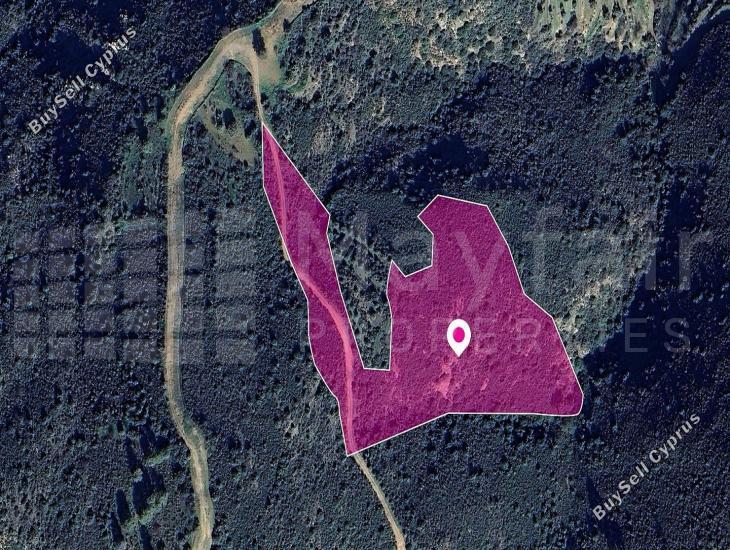 land for sale lageia larnaca 7872286 image 14892038