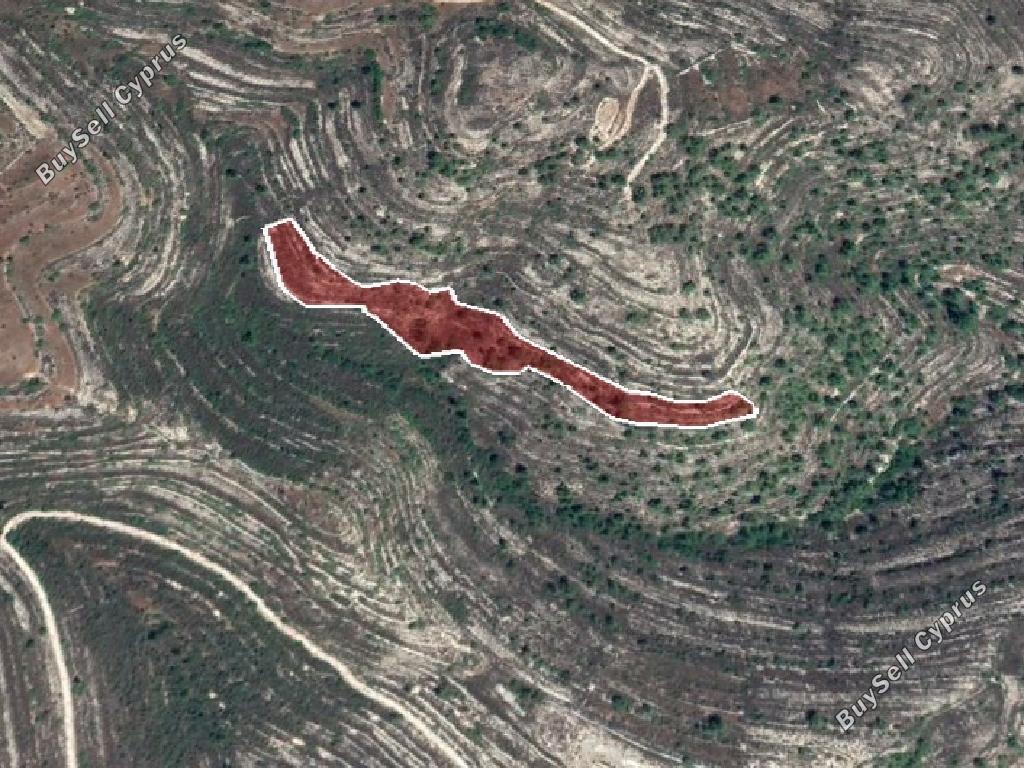 land for sale silikou limassol 823286 image 15600882