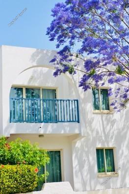2 bedroom apartment for sale paphos municipality paphos 8203386 image 13702006