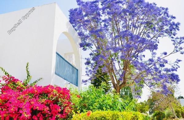 2 bedroom apartment for sale paphos municipality paphos 8203386 image 13702008