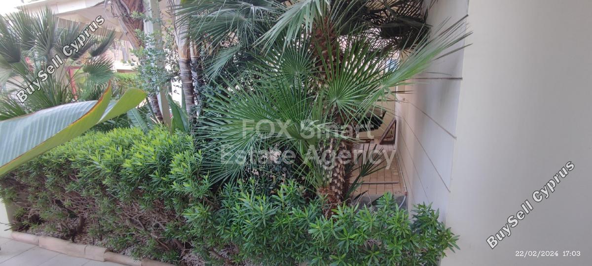 5 bedroom detached house for sale pyla larnaca 1301386 image 5762812