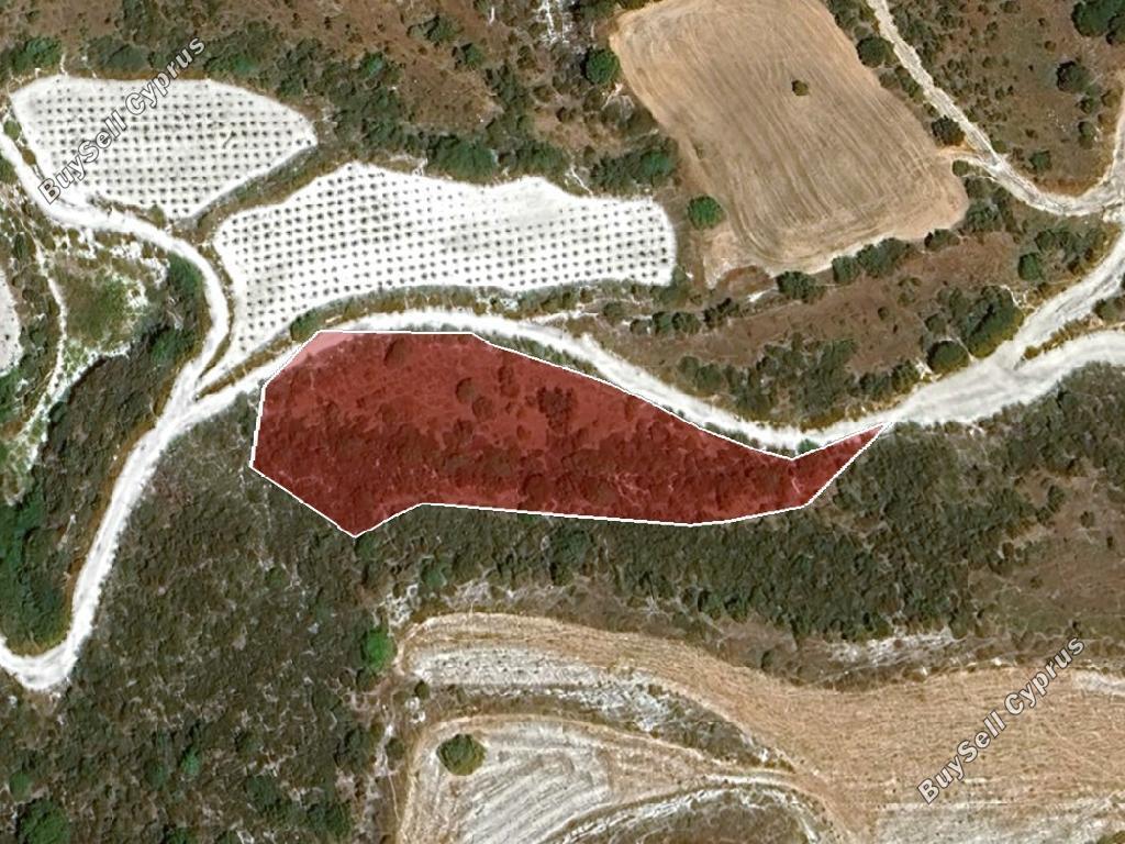 land for sale kelokedara paphos 8140386 image 15596252