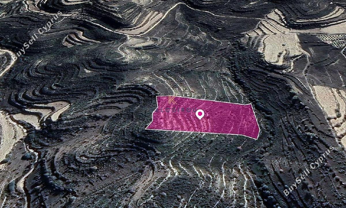 land for sale pachna limassol 1650386 image 5669213