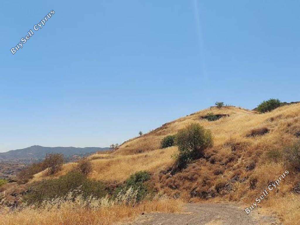 land for sale pigenia nicosia 946386 image 6817913