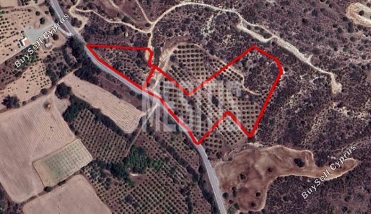 land for sale skarinou larnaca 1822386 image 10522964