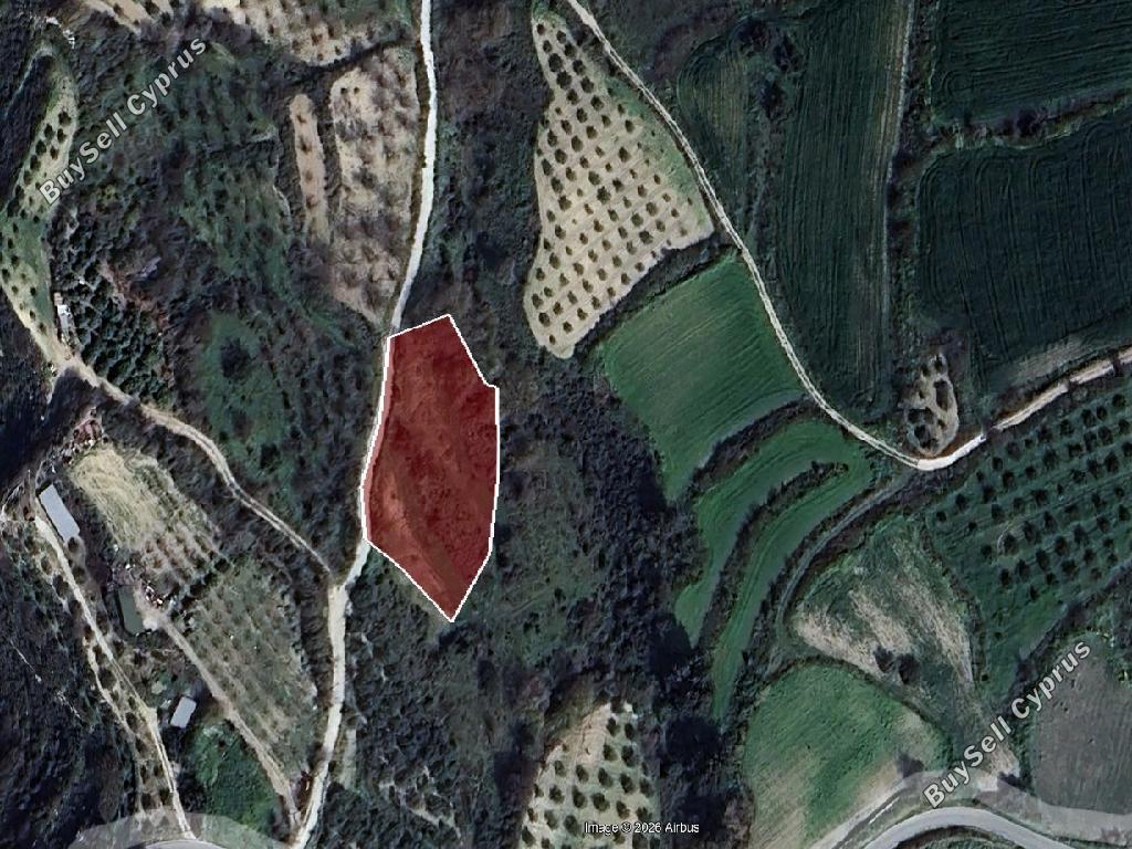 land for sale theletra paphos 8274486 image 15596096