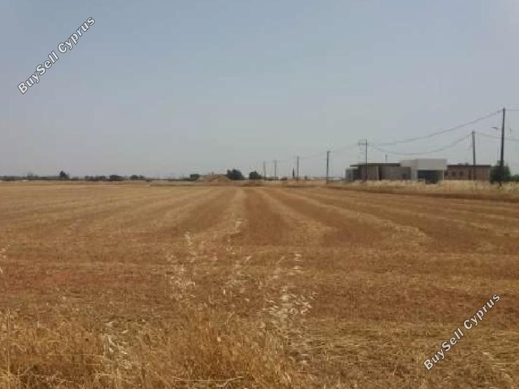 land for sale xylotymvou larnaca 1835486 image 15596877