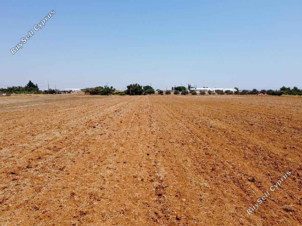 land for sale xylotymvou larnaca 1835486 image 15596878