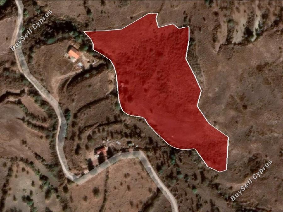 16054 SQM Land for sale in Episkopi Pafou, Paphos 15873768