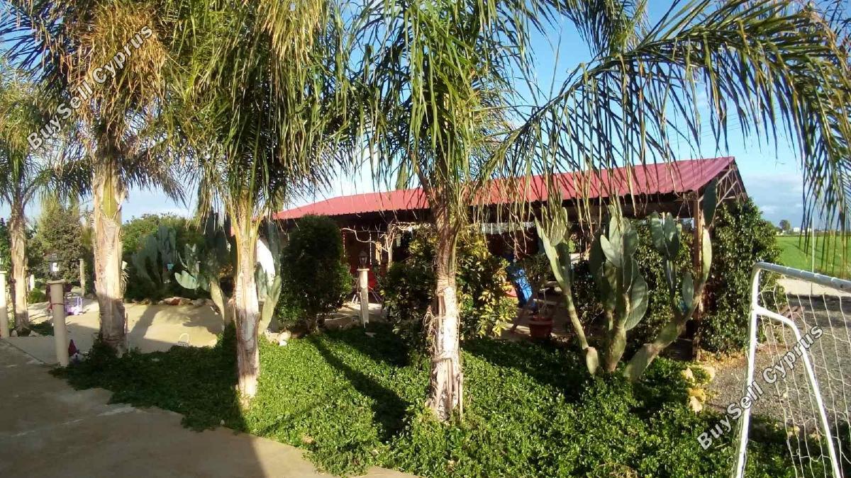 3 bedroom bungalow for sale xylotymvou larnaca 8087586 image 13141237