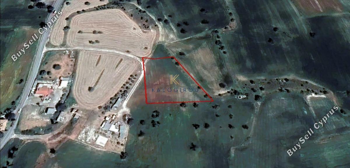 land for sale kofinou larnaca 1440586 image 5653570