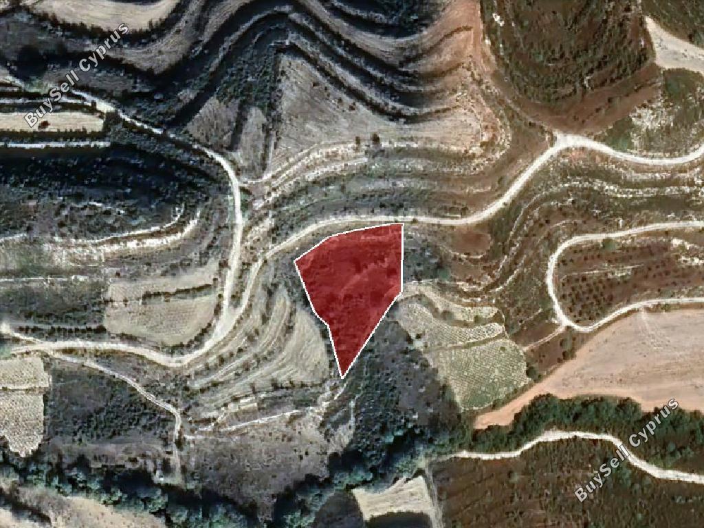 land for sale pachna limassol 826586 image 15600778