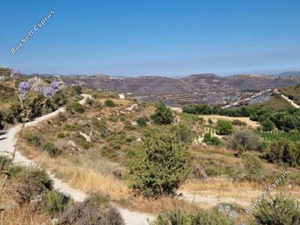 land for sale pachna limassol 826586 image 17158546