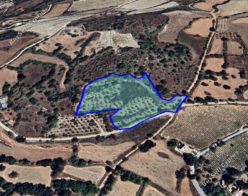 plot for sale fyti paphos 1937586 image 9238640
