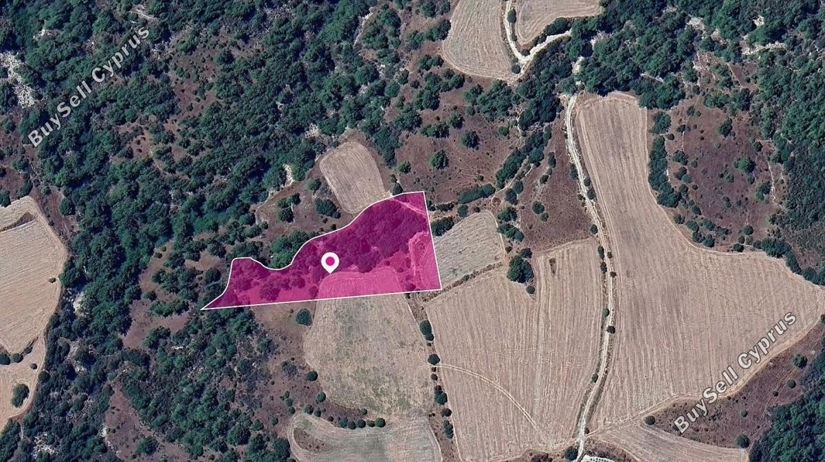 land for sale mousere paphos 8629686 image 15869546