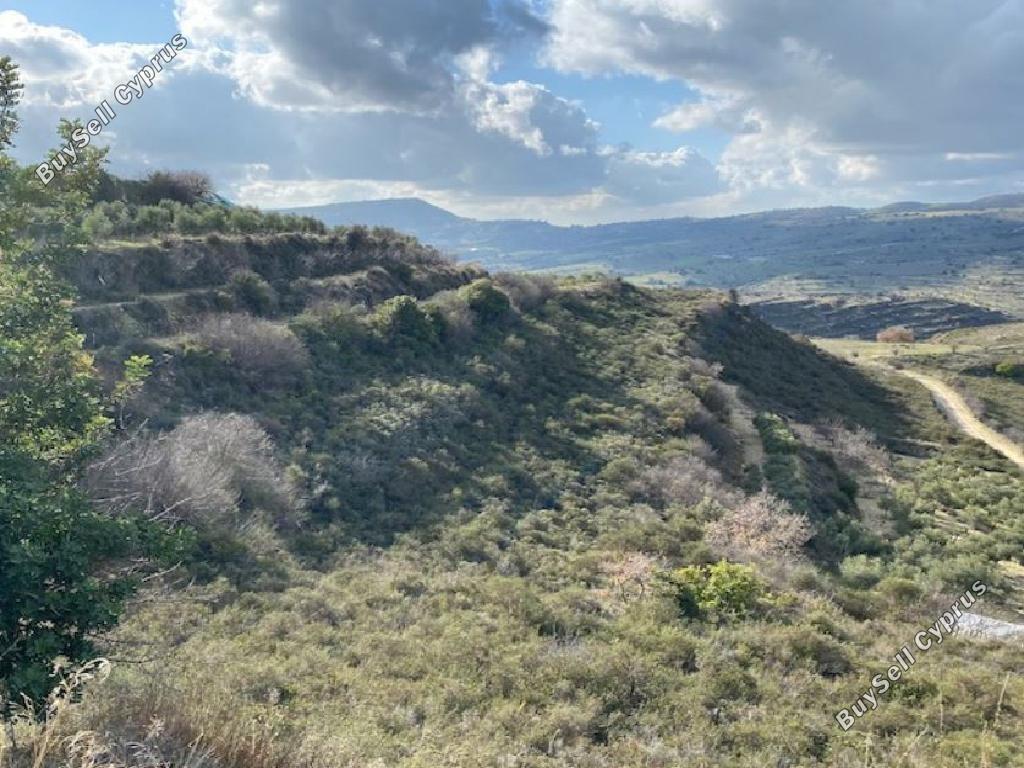 land for sale pachna limassol 8785686 image 16656326