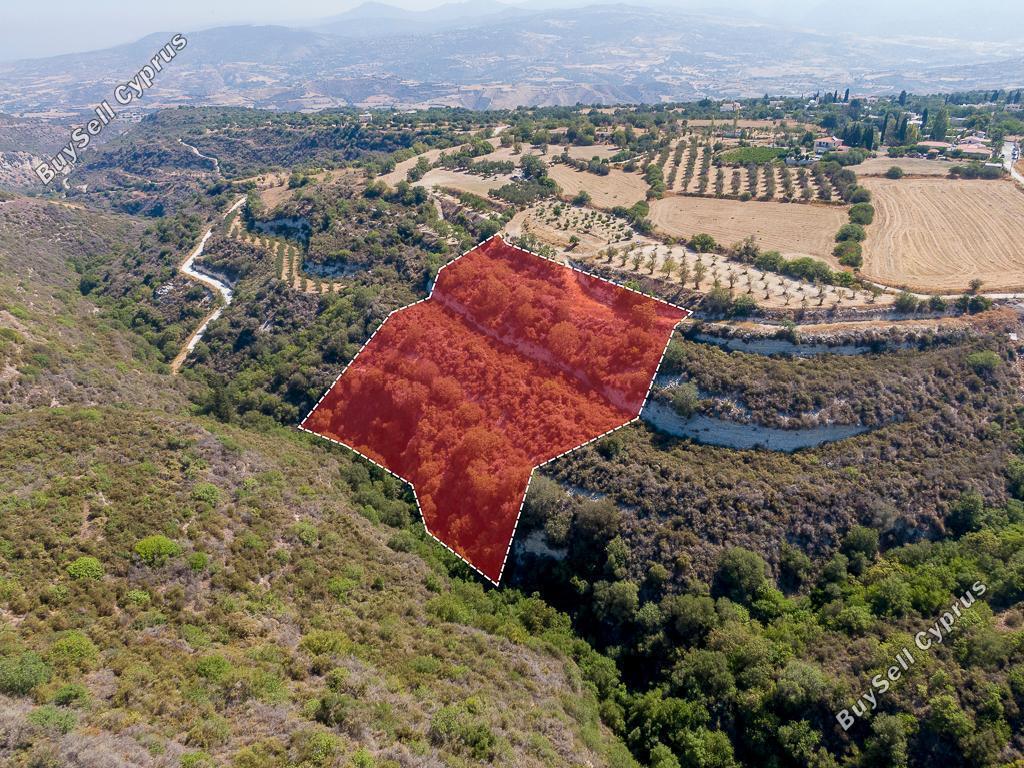 land for sale pano akourdalia paphos 1096686 image 15603159