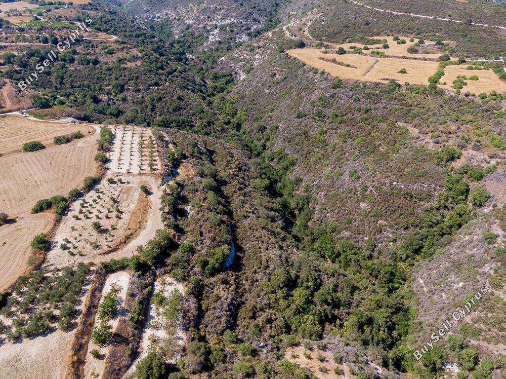 land for sale pano akourdalia paphos 1096686 image 15603162