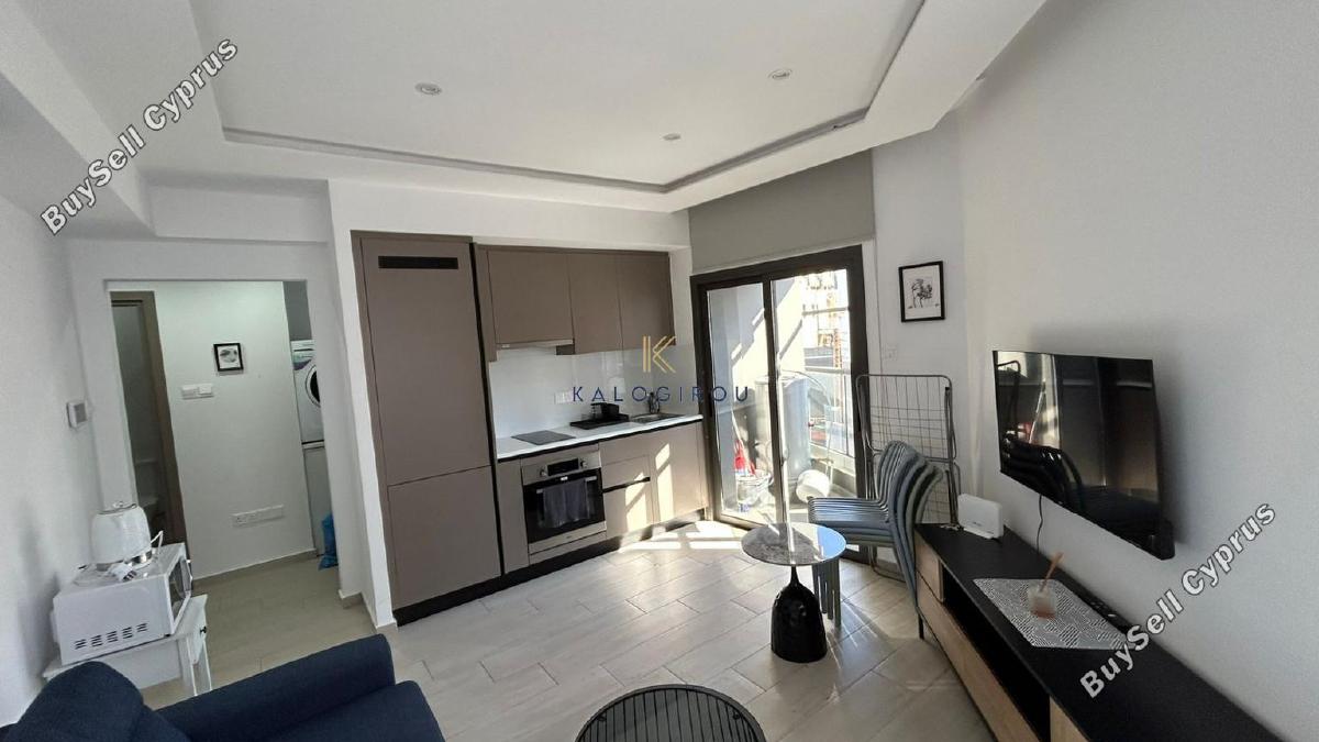 1 bedroom apartment for rent larnaca municipality larnaca 8274786 image 15193308