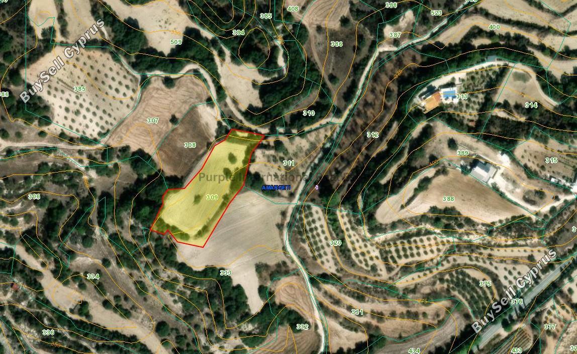 5352 SQM Land for sale in Amargeti, Paphos 15642266
