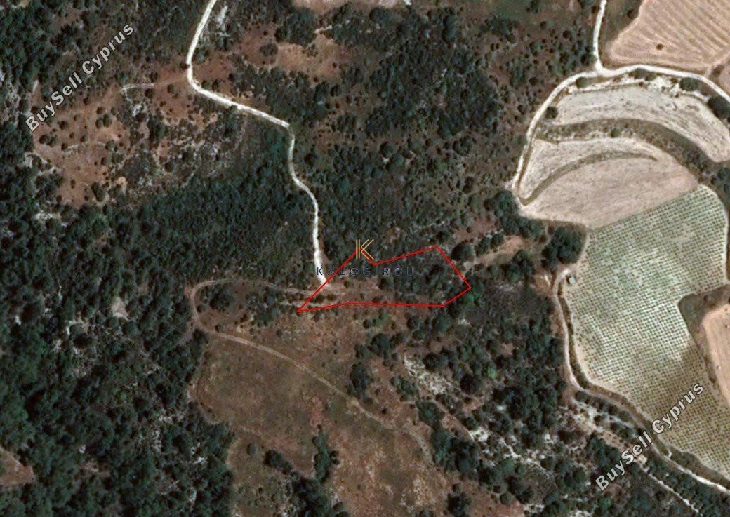 land for sale dora limassol 1194786 image 5570620