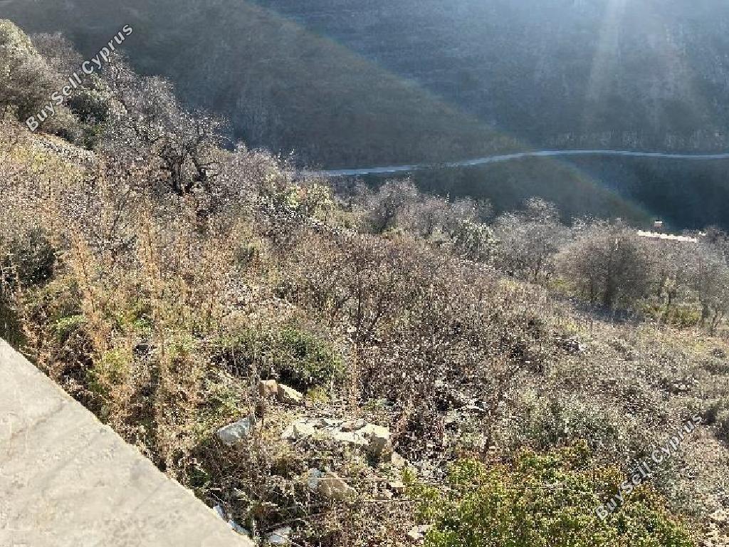 land for sale farmakas nicosia 8194786 image 13649651
