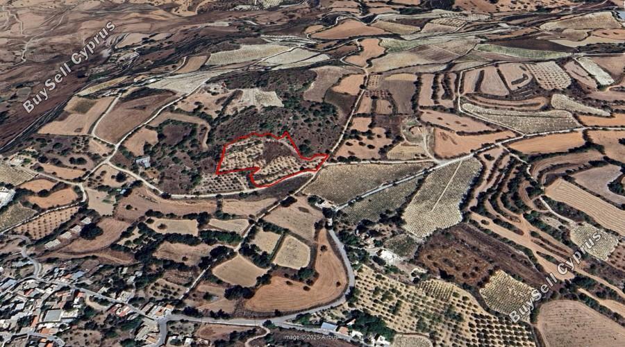 9997 SQM Land for sale in Fyti, Paphos 10142314