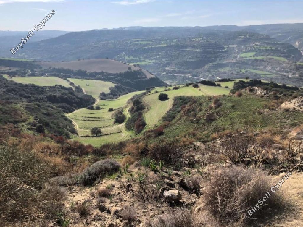 8771 SQM Land for sale in Skoulli, Paphos 15600102