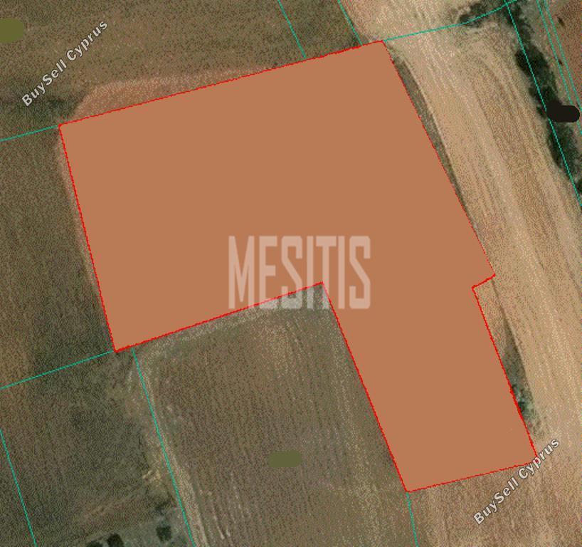 5070 SQM Plot for sale in Agioi Trimithias, Nicosia 15856113