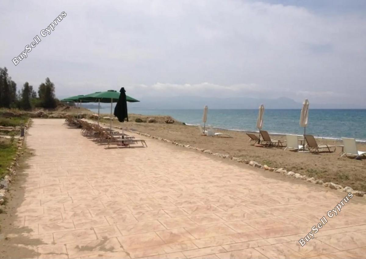 5 bedroom detached house for rent poli chrysochous paphos 8833886 image 17434083