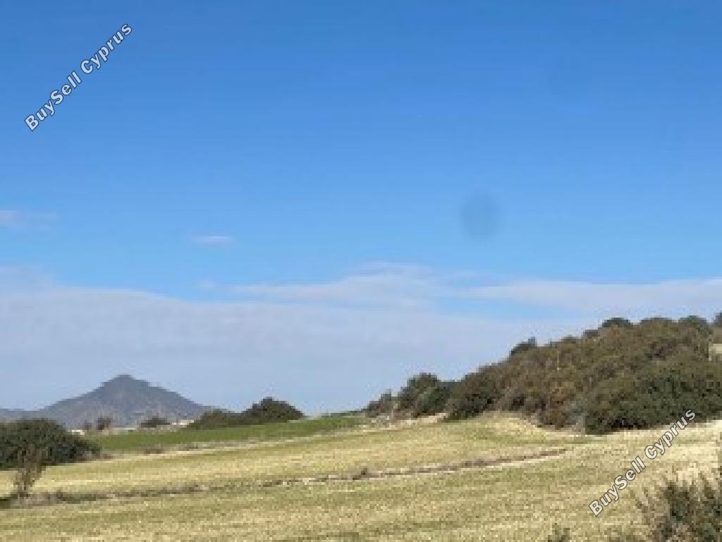 land for sale agios theodoros larnacas larnaca 7740886 image 15596743