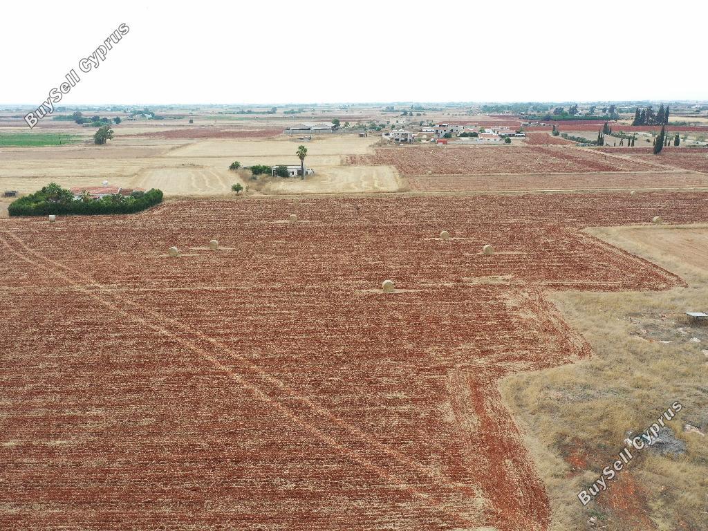 land for sale avgorou famagusta 1153886 image 15602846