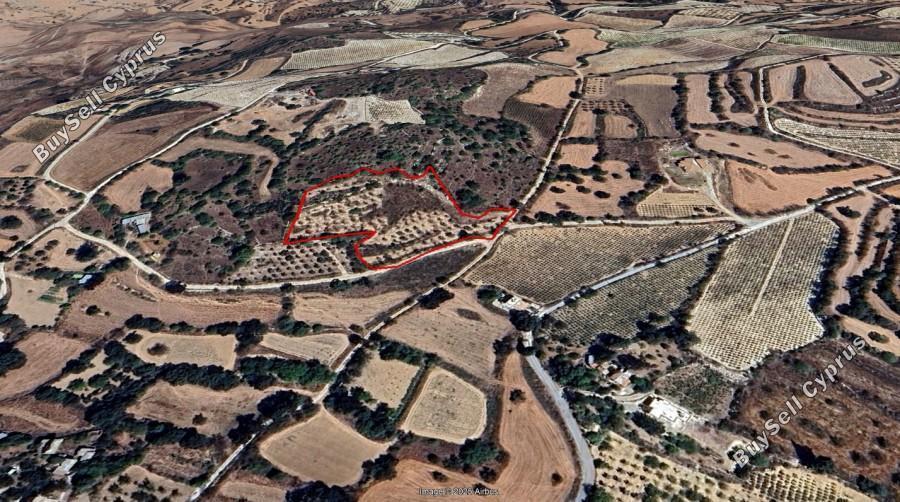 land for sale fyti paphos 7732886 image 10142313